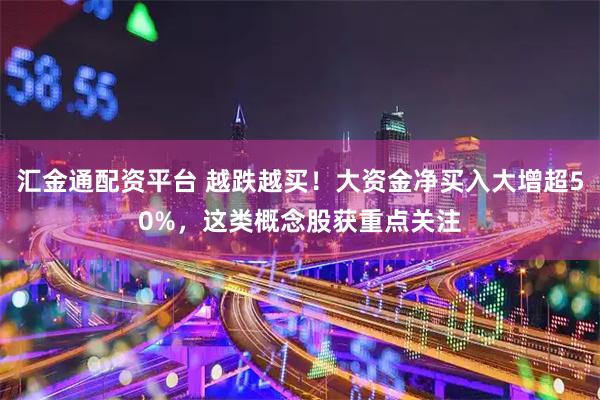 汇金通配资平台 越跌越买！大资金净买入大增超50%，这类概念股获重点关注