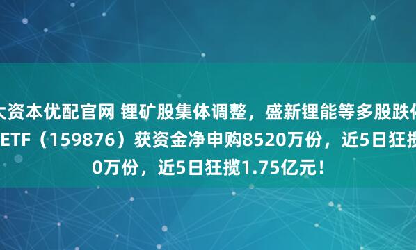 大资本优配官网 锂矿股集体调整,盛新锂能等多股跌停!有色龙头ETF(159876)获资金净申购8520万份,近5日狂揽1.75亿元!