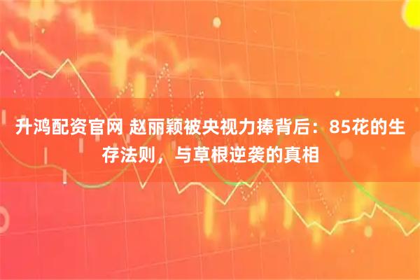 升鸿配资官网 赵丽颖被央视力捧背后：85花的生存法则，与草根逆袭的真相