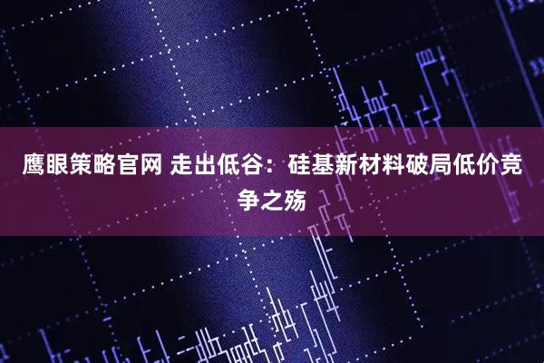 鹰眼策略官网 走出低谷：硅基新材料破局低价竞争之殇