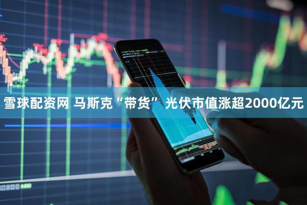 雪球配资网 马斯克“带货” 光伏市值涨超2000亿元
